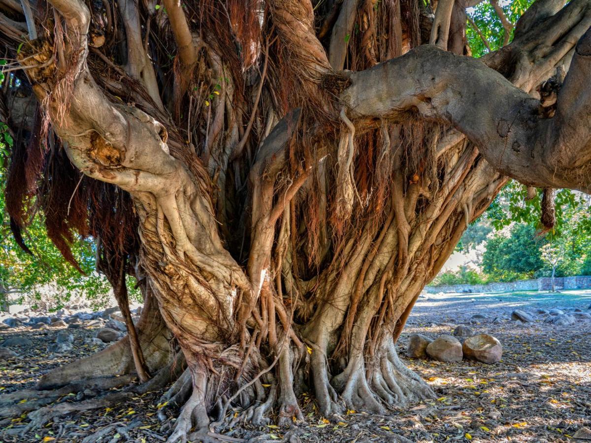 Welbedacht Game & Nature Reserve タルバ エクステリア 写真