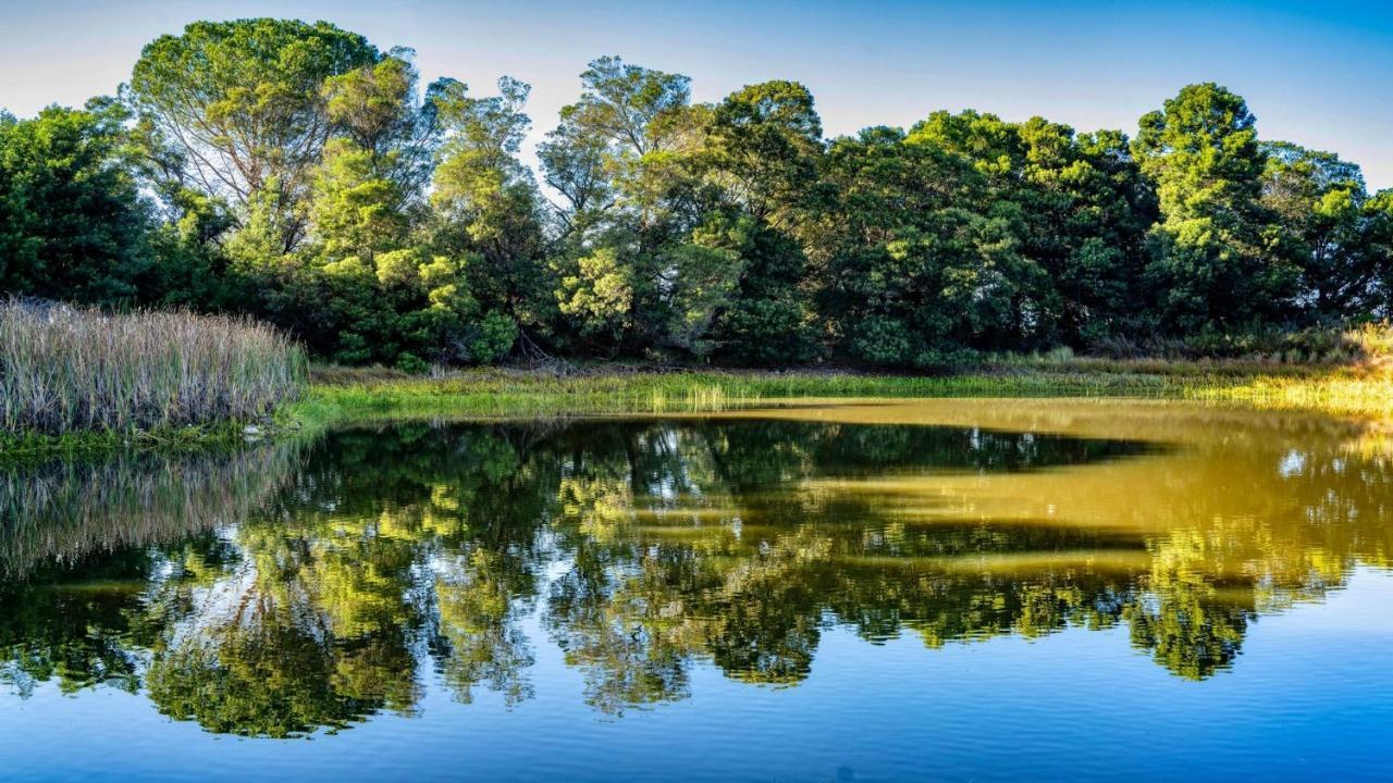 Welbedacht Game & Nature Reserve タルバ エクステリア 写真