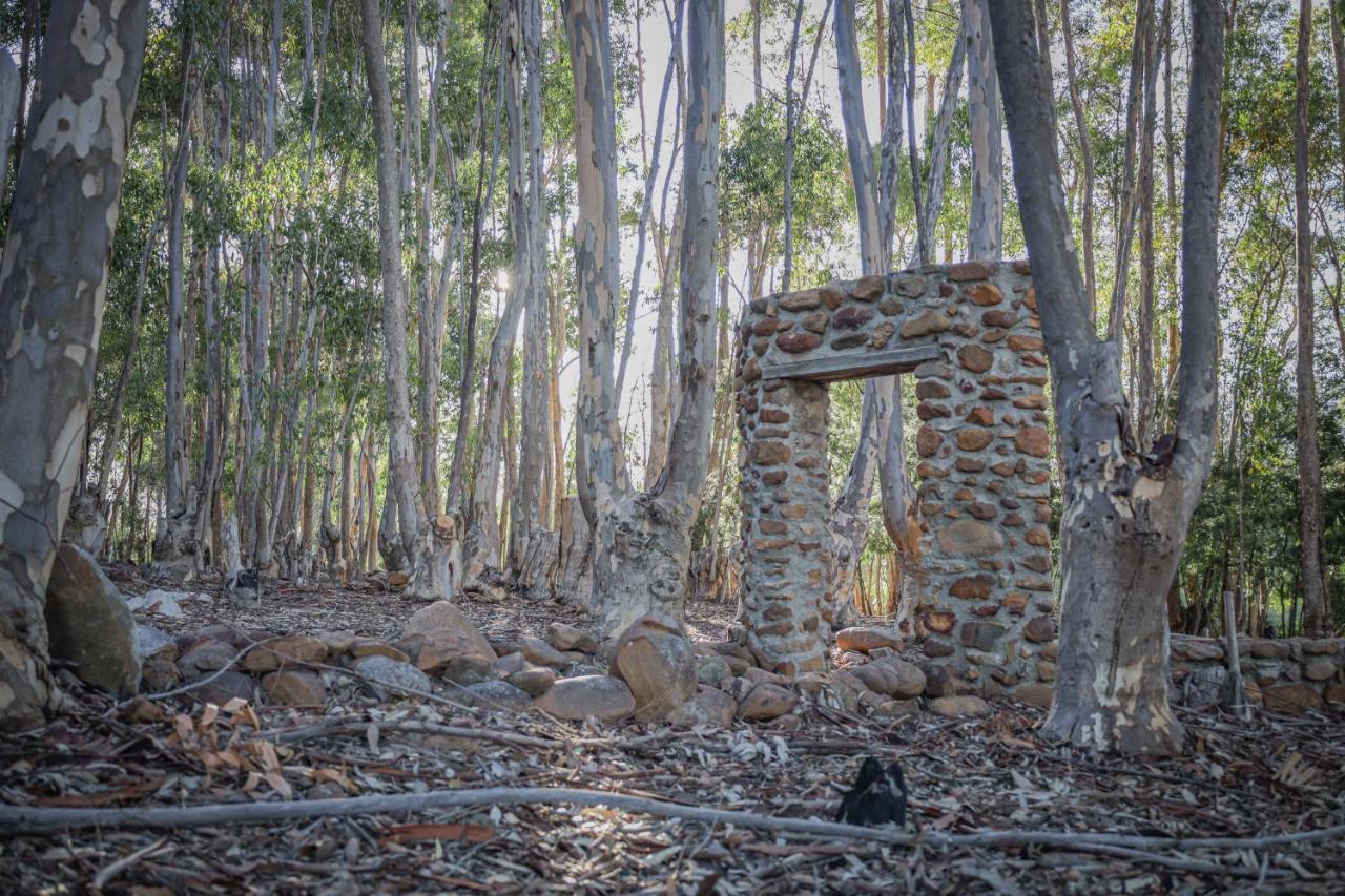 Welbedacht Game & Nature Reserve タルバ エクステリア 写真