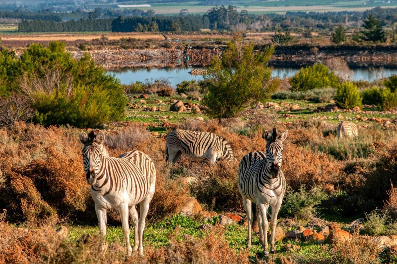 Welbedacht Game & Nature Reserve タルバ エクステリア 写真