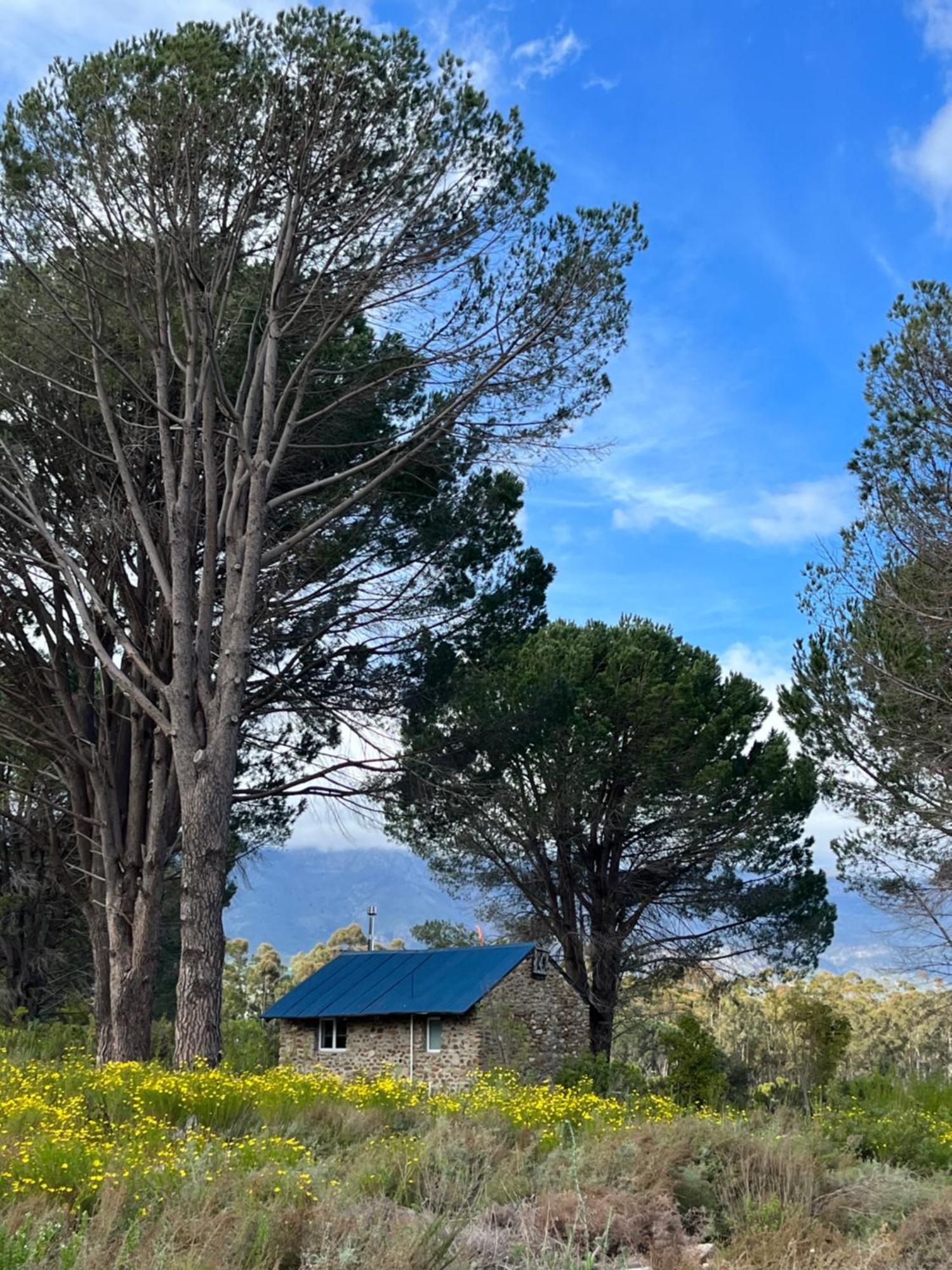 Welbedacht Game & Nature Reserve タルバ エクステリア 写真